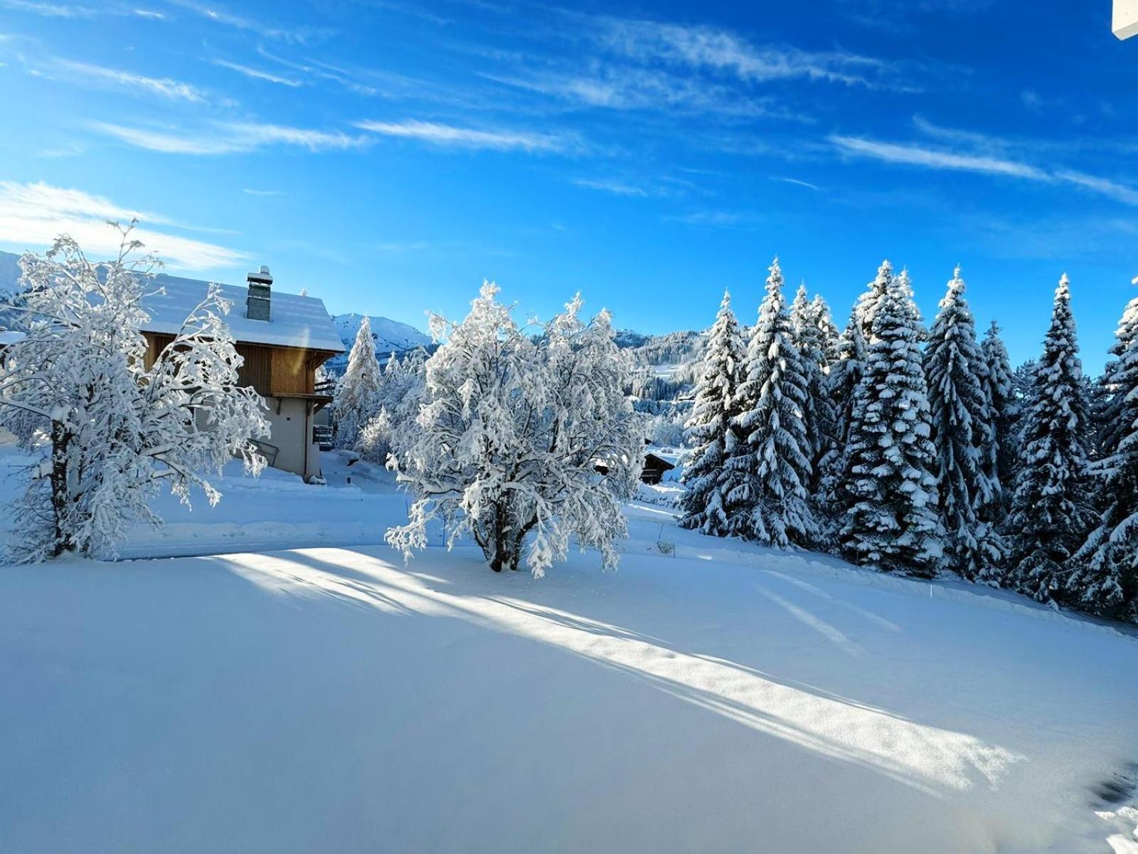 Le Flocon Du Mont Darbois Classe 3 Etoiles Megève Εξωτερικό φωτογραφία